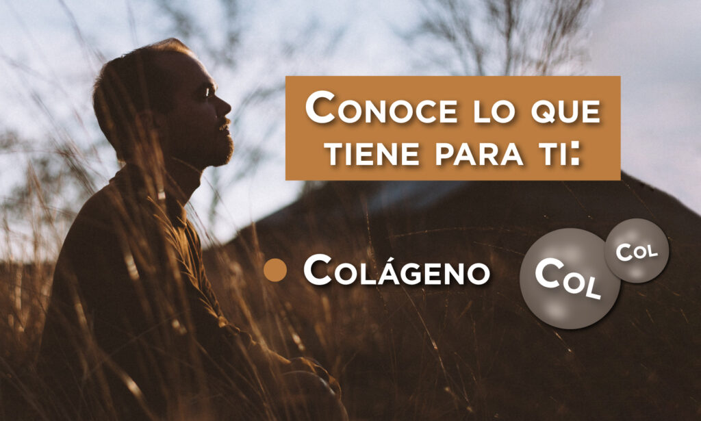 colageno beneficios, que es el colageno, para que sirve el colageno, que beneficioso es tomar colgaeno, colageno en capsulas, capsulas de colageno para que sirven, colageno para el cabello, colageno para la piel, beneficios colageno, beneficios capsulas de colageno, para que sirve tomar colageno, como ayuda tomar colageno a tu cuerpo.